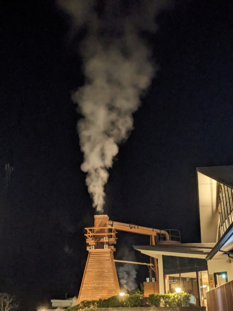 なっつるこさんの下賀茂温泉 銀の湯会館のサ活写真