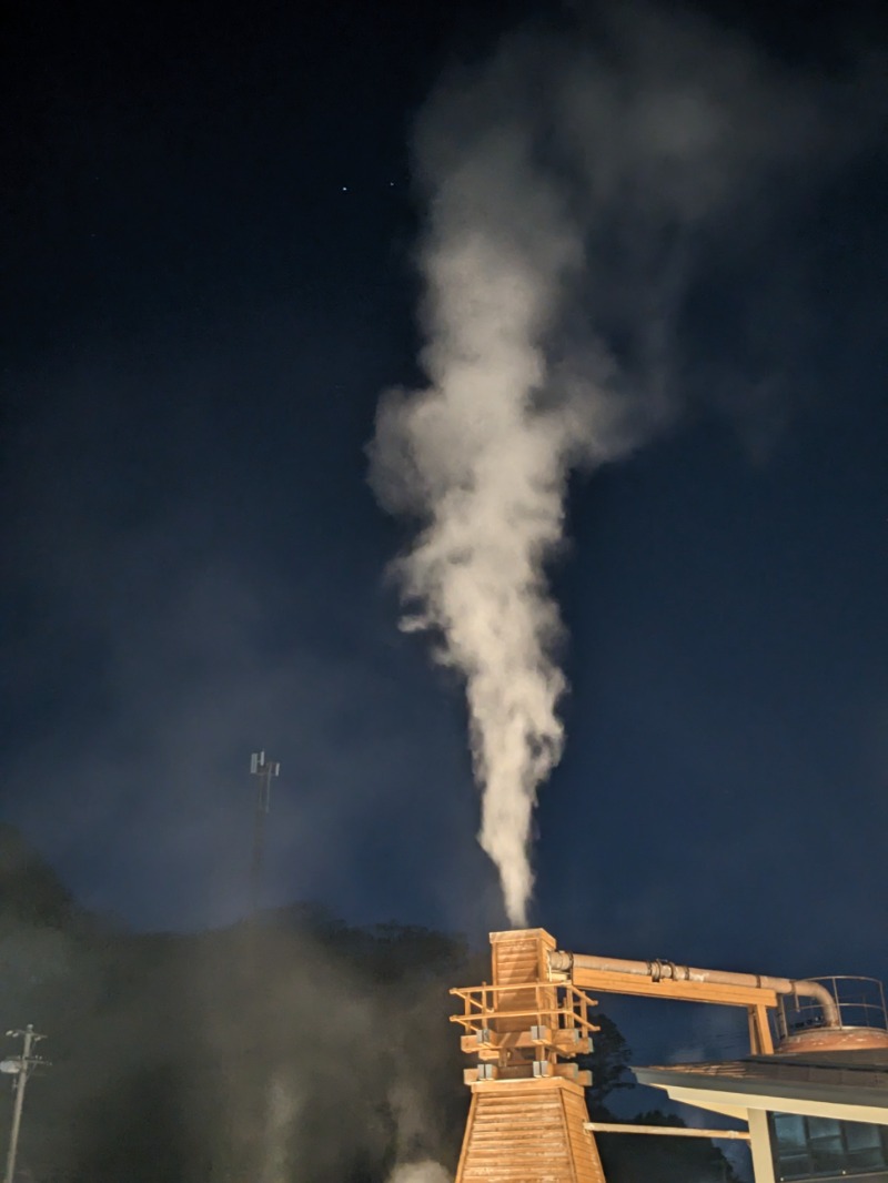 なっつるこさんの下賀茂温泉 銀の湯会館のサ活写真