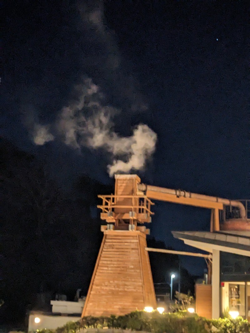 なっつるこさんの下賀茂温泉 銀の湯会館のサ活写真