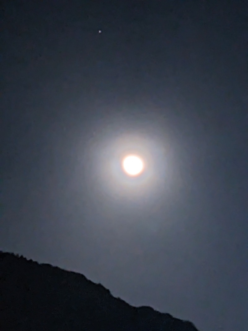 なっつるこさんの下賀茂温泉 銀の湯会館のサ活写真