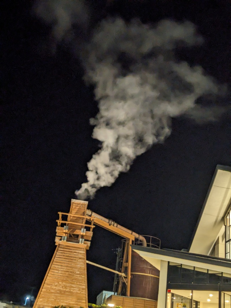 なっつるこさんの下賀茂温泉 銀の湯会館のサ活写真