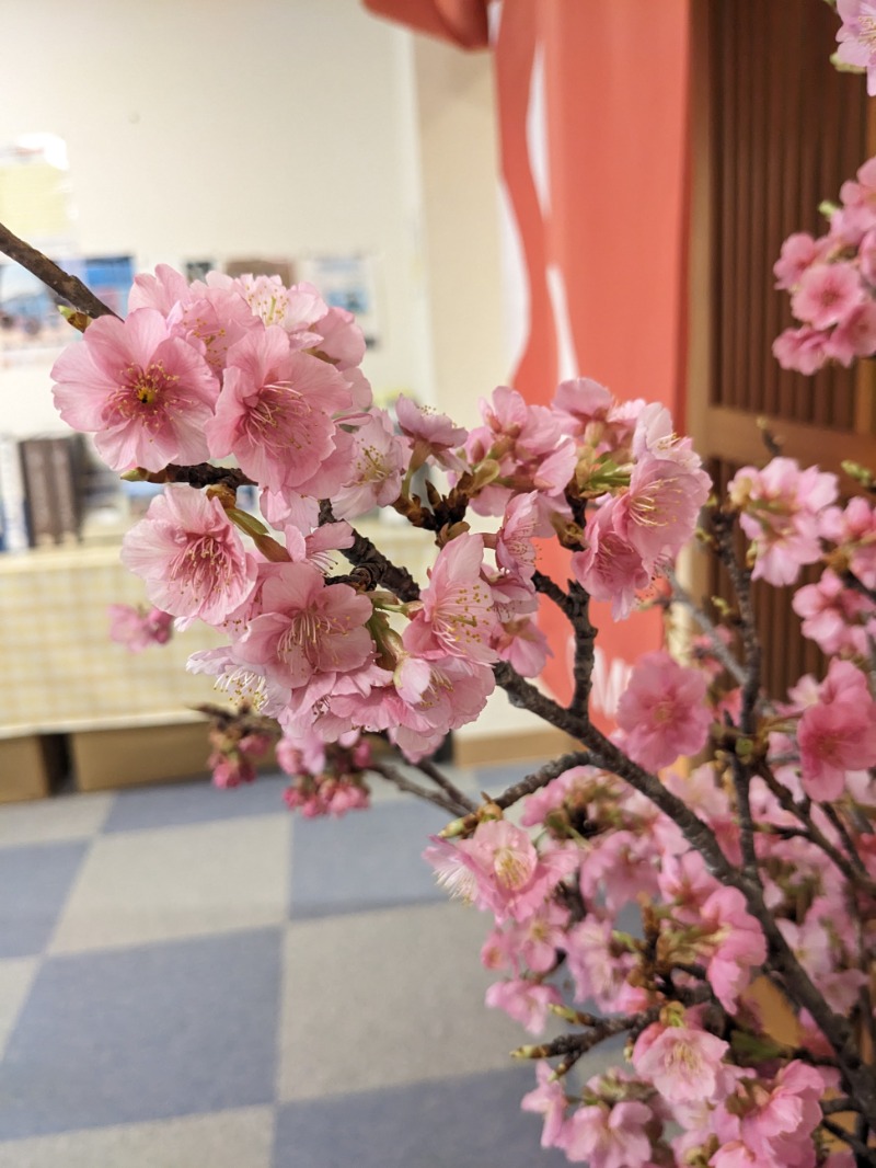 なっつるこさんの下賀茂温泉 銀の湯会館のサ活写真