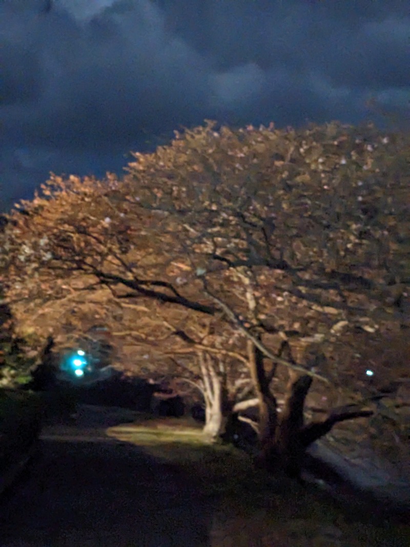 なっつるこさんの下賀茂温泉 銀の湯会館のサ活写真
