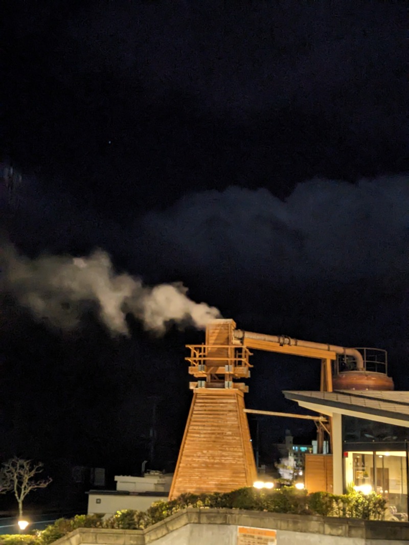 なっつるこさんの下賀茂温泉 銀の湯会館のサ活写真