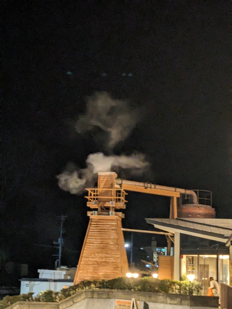 なっつるこさんの下賀茂温泉 銀の湯会館のサ活写真
