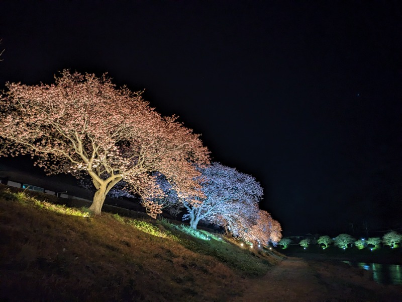 なっつるこさんの下賀茂温泉 銀の湯会館のサ活写真