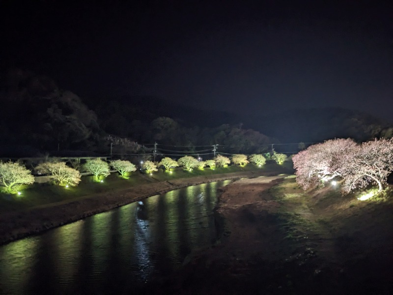 なっつるこさんの下賀茂温泉 銀の湯会館のサ活写真