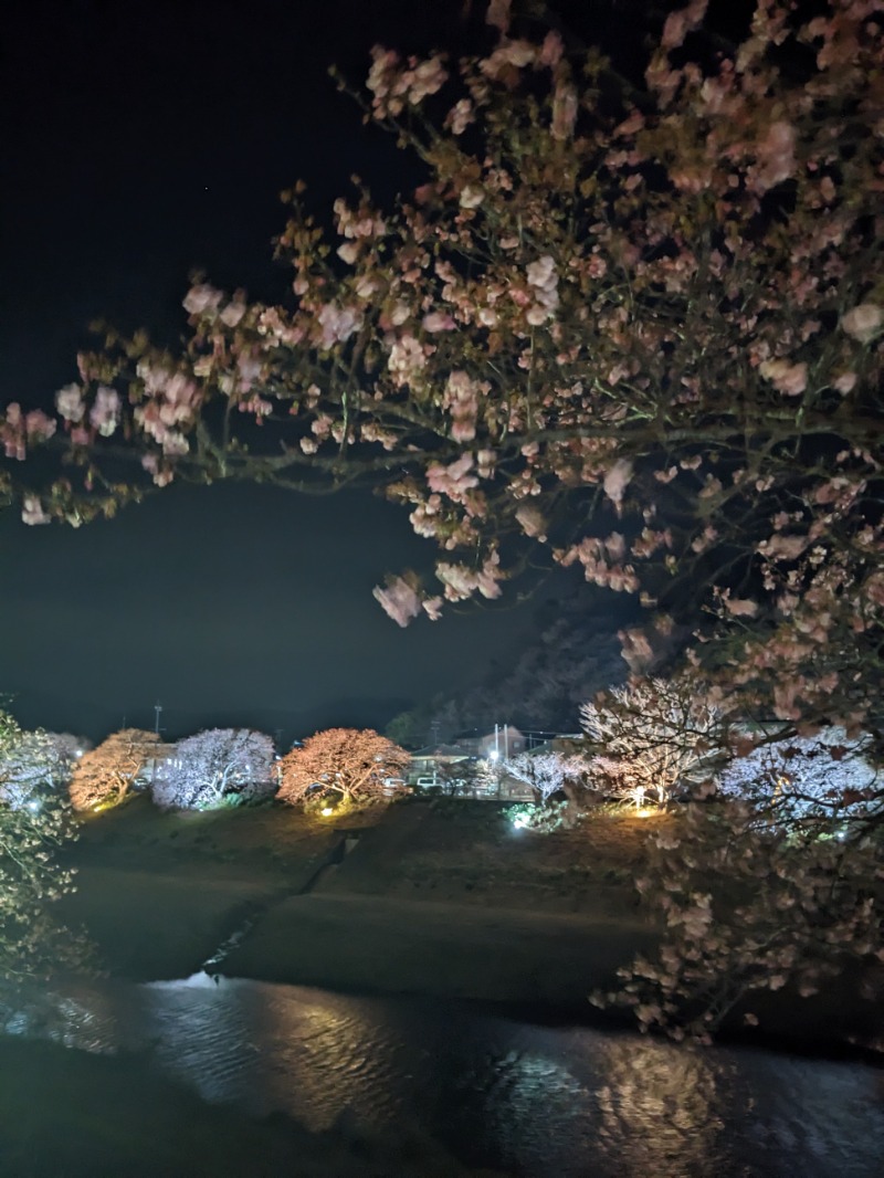 なっつるこさんの下賀茂温泉 銀の湯会館のサ活写真