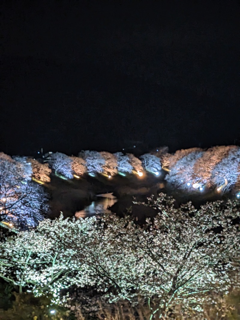 なっつるこさんの下賀茂温泉 銀の湯会館のサ活写真