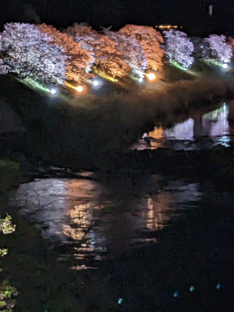 なっつるこさんの下賀茂温泉 銀の湯会館のサ活写真