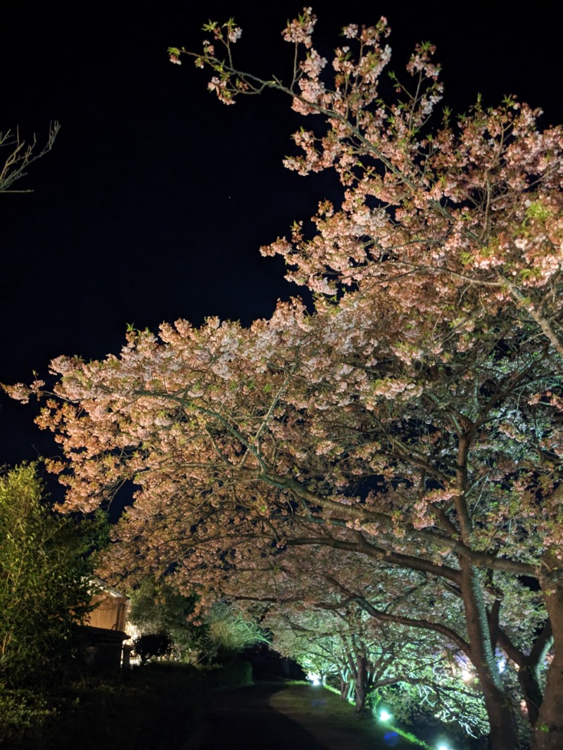 なっつるこさんの下賀茂温泉 銀の湯会館のサ活写真