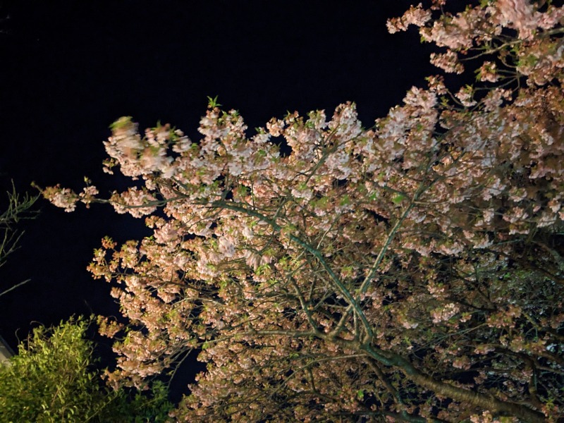なっつるこさんの下賀茂温泉 銀の湯会館のサ活写真