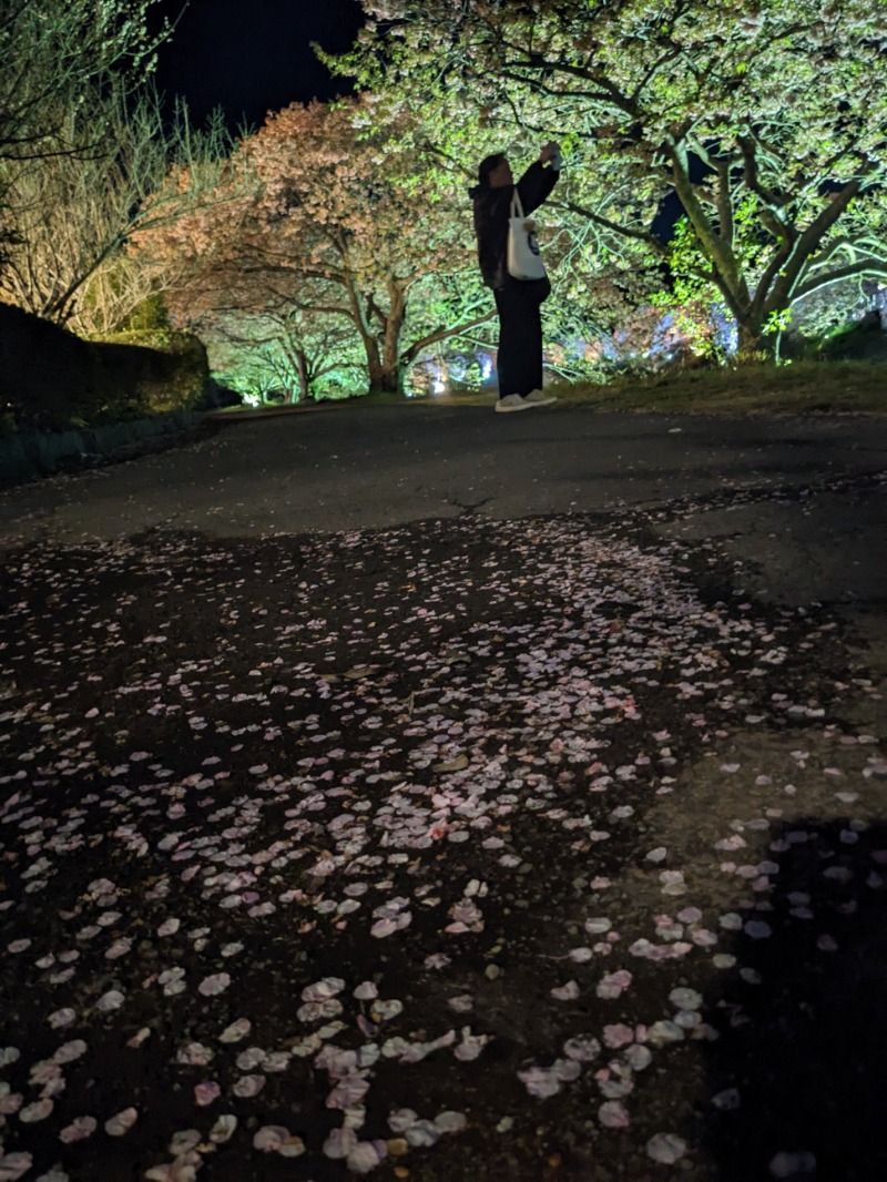 なっつるこさんの下賀茂温泉 銀の湯会館のサ活写真