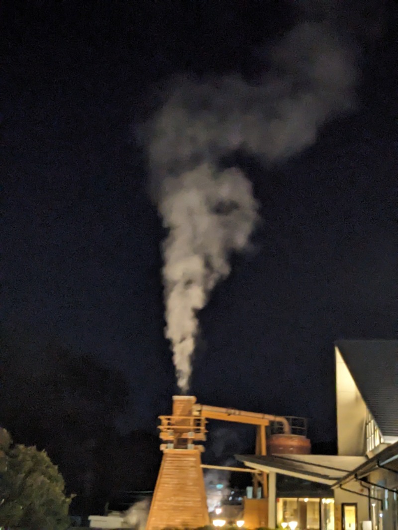 なっつるこさんの下賀茂温泉 銀の湯会館のサ活写真