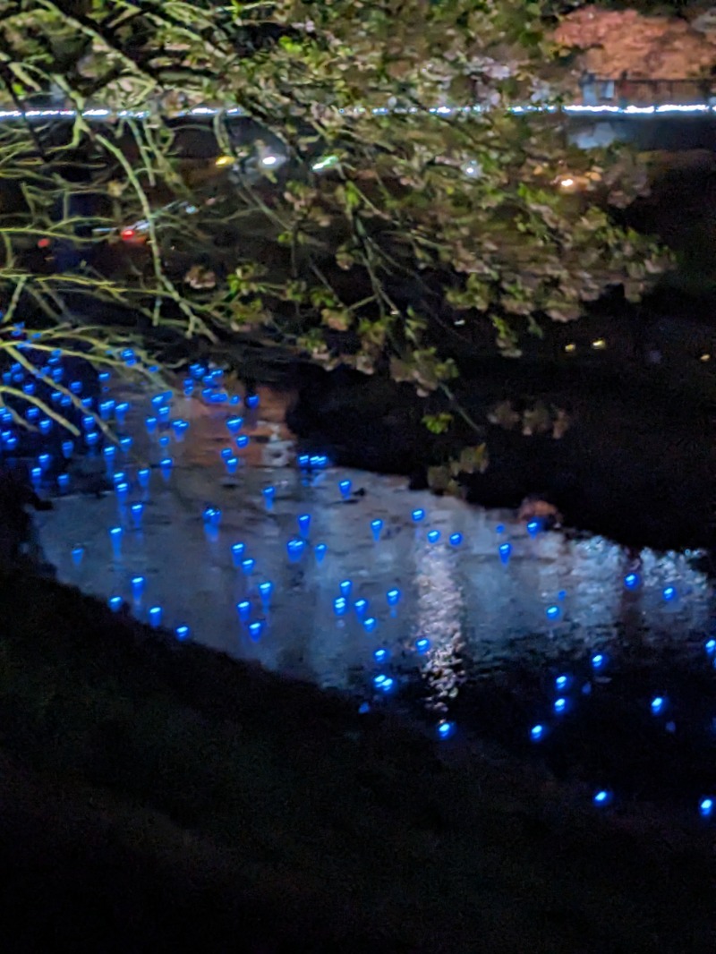 なっつるこさんの下賀茂温泉 銀の湯会館のサ活写真