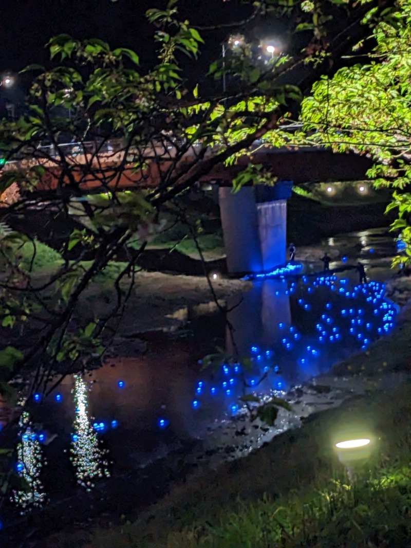 なっつるこさんの下賀茂温泉 銀の湯会館のサ活写真