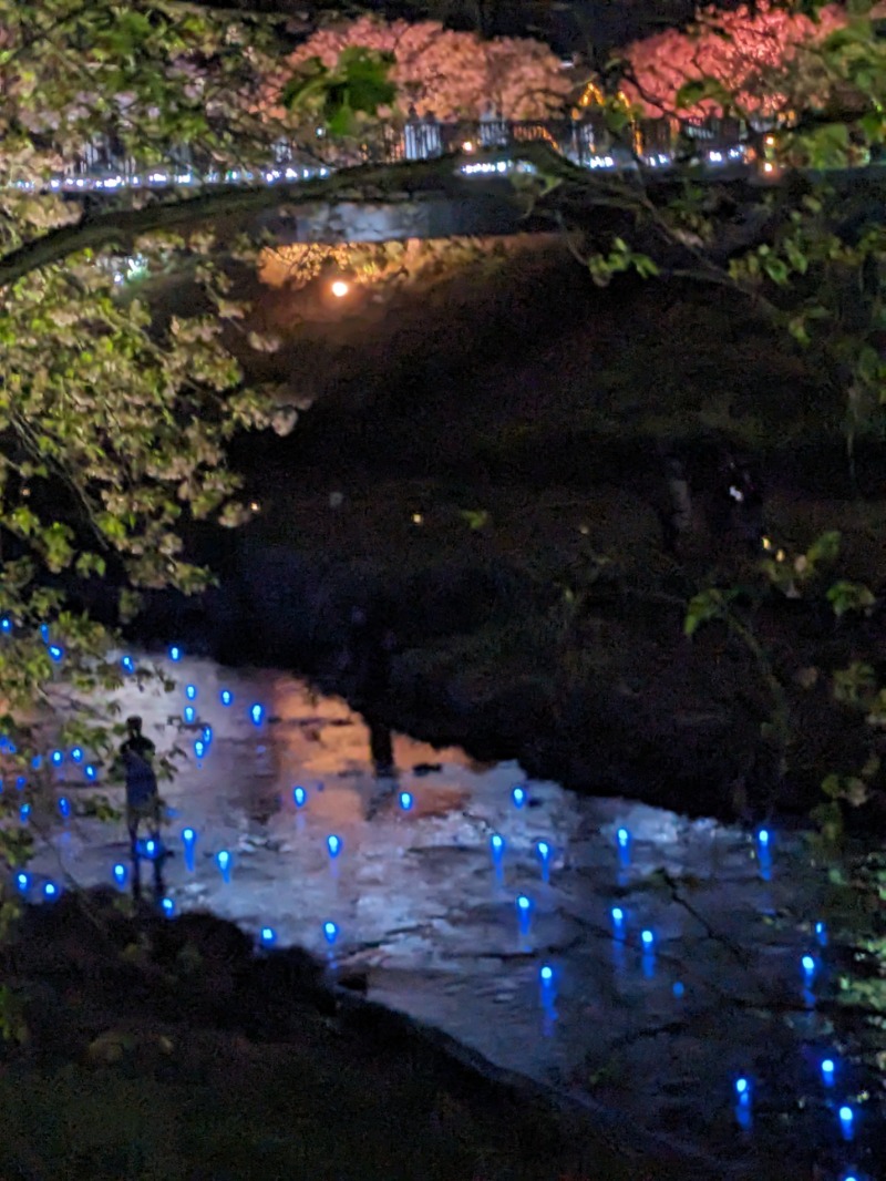 なっつるこさんの下賀茂温泉 銀の湯会館のサ活写真