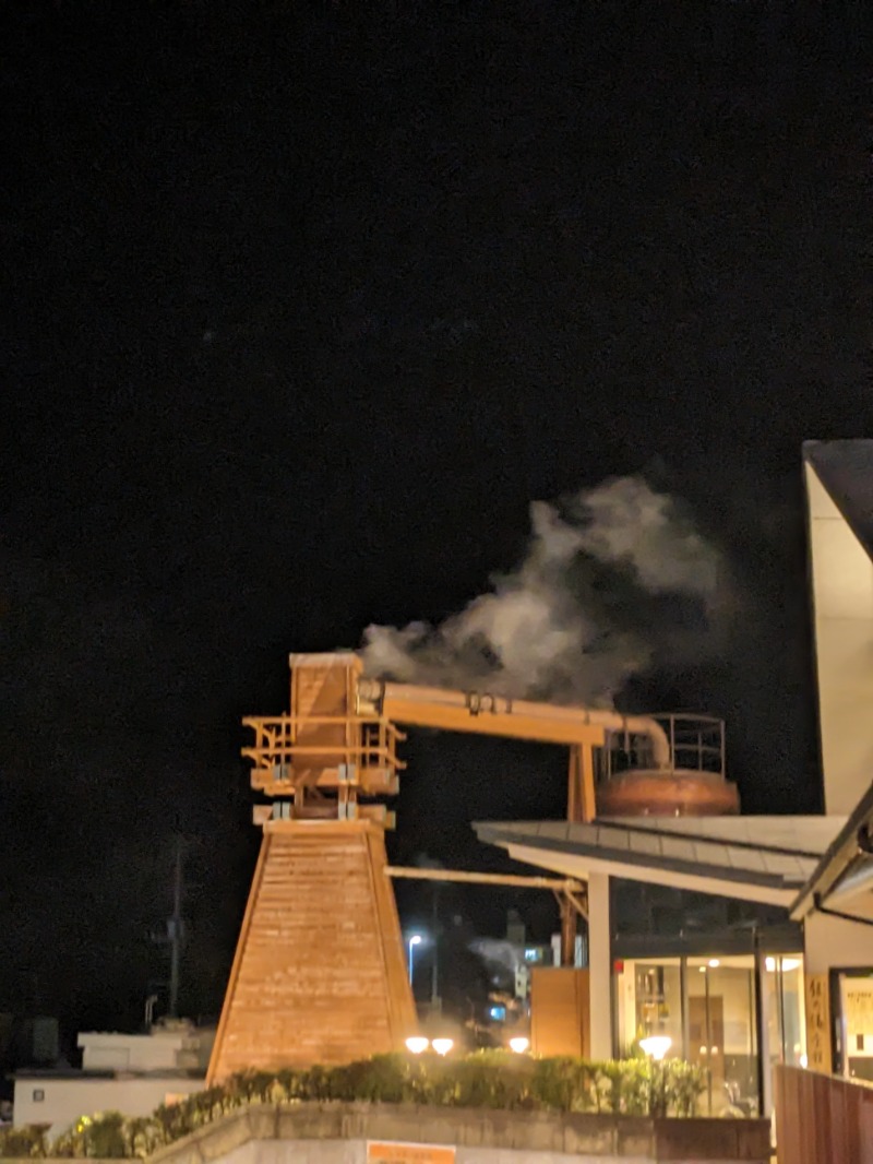 なっつるこさんの下賀茂温泉 銀の湯会館のサ活写真