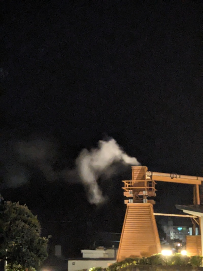 なっつるこさんの下賀茂温泉 銀の湯会館のサ活写真