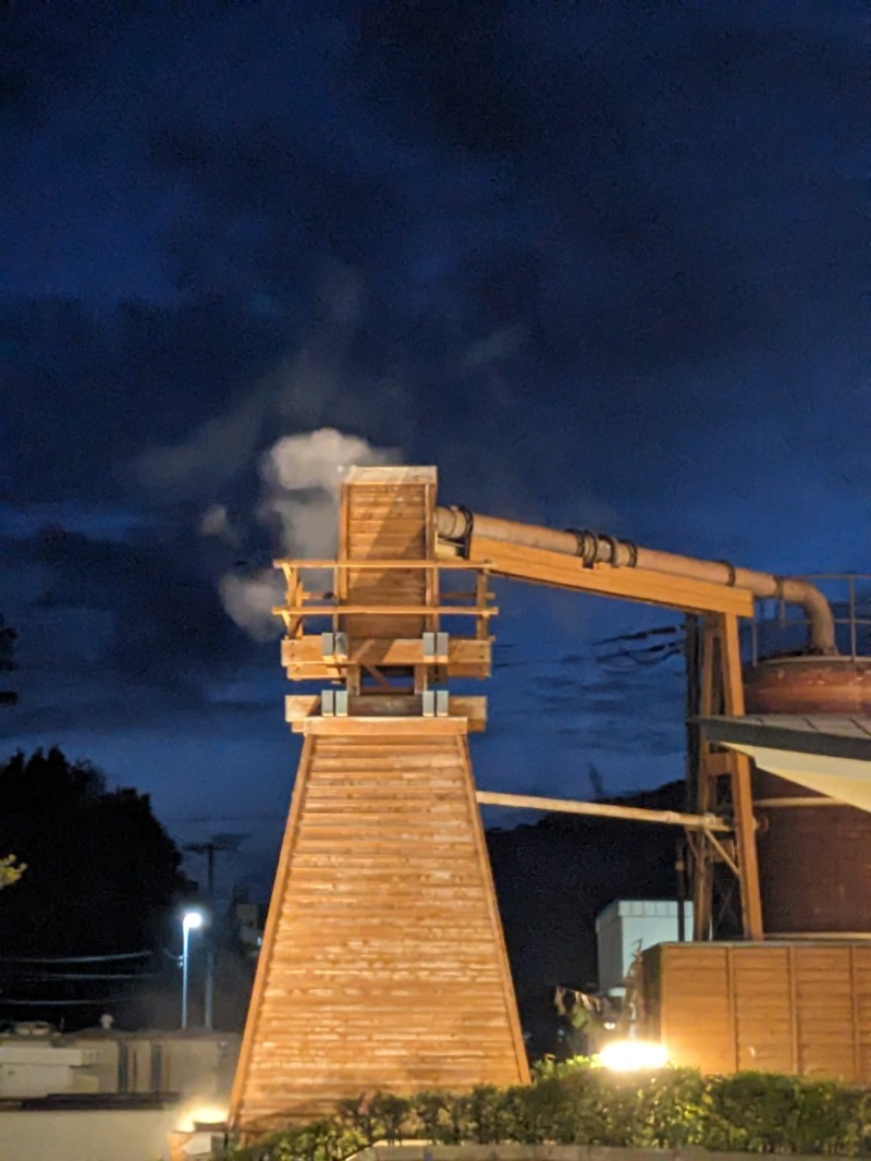 なっつるこさんの下賀茂温泉 銀の湯会館のサ活写真