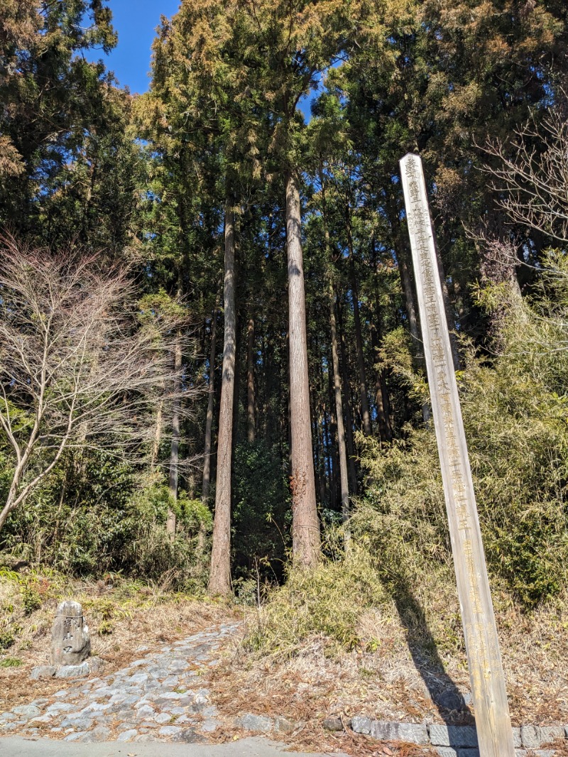 なっつるこさんの富士山天母の湯のサ活写真