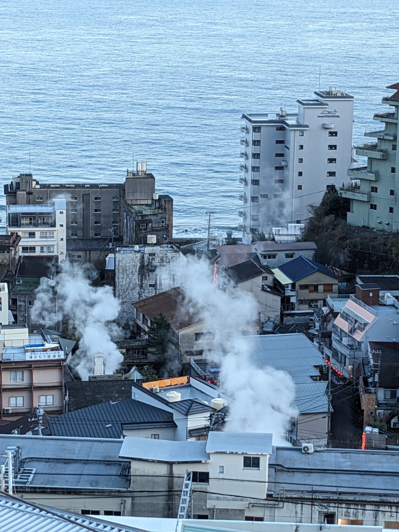 なっつるこさんの熱川プリンスホテルのサ活写真