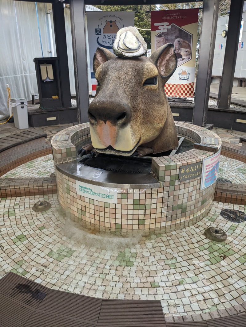 なっつるこさんの熱川プリンスホテルのサ活写真