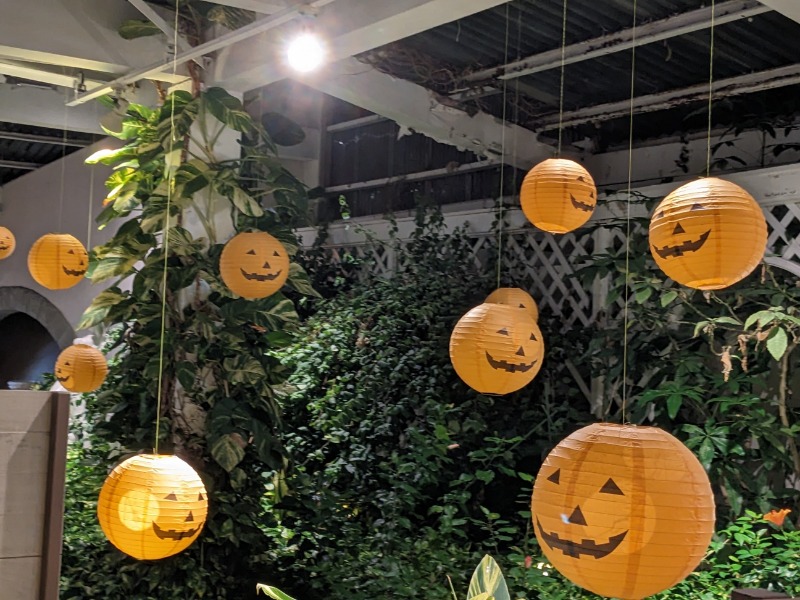 なっつるこさんの黒船ホテルのサ活写真