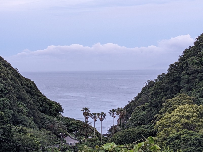 なっつるこさんのリブマックスリゾート伊豆下田のサ活写真