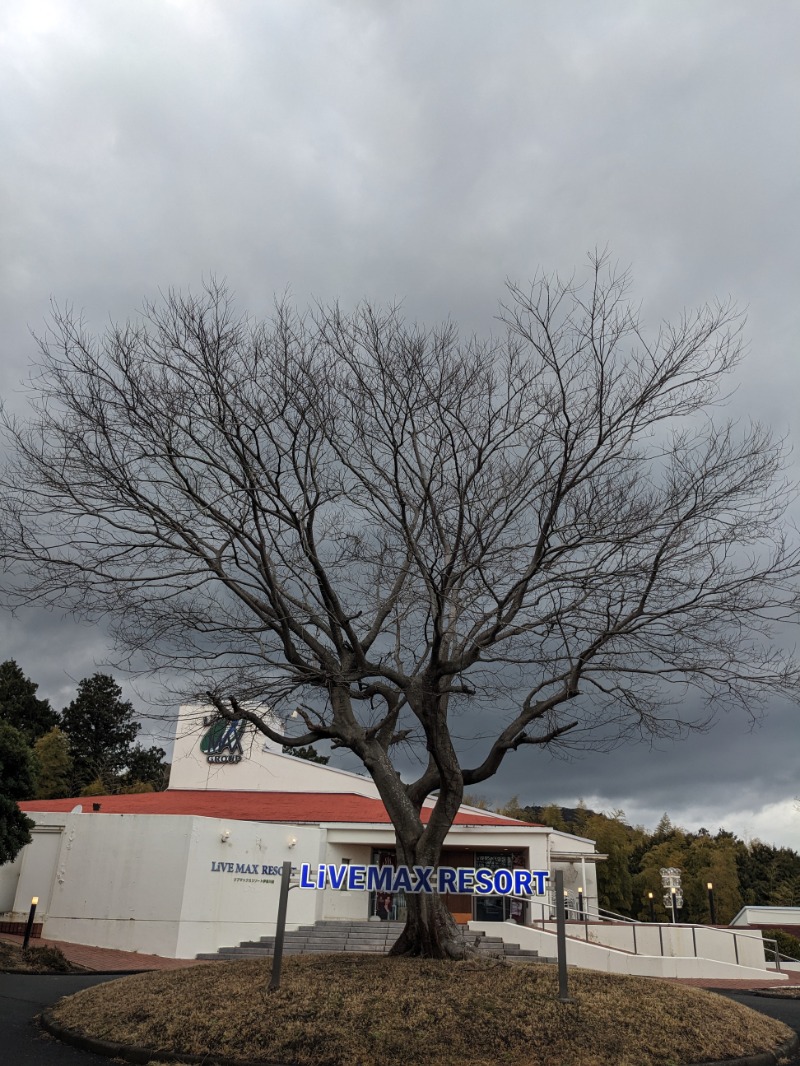 なっつるこさんのリブマックスリゾート伊東川奈のサ活写真