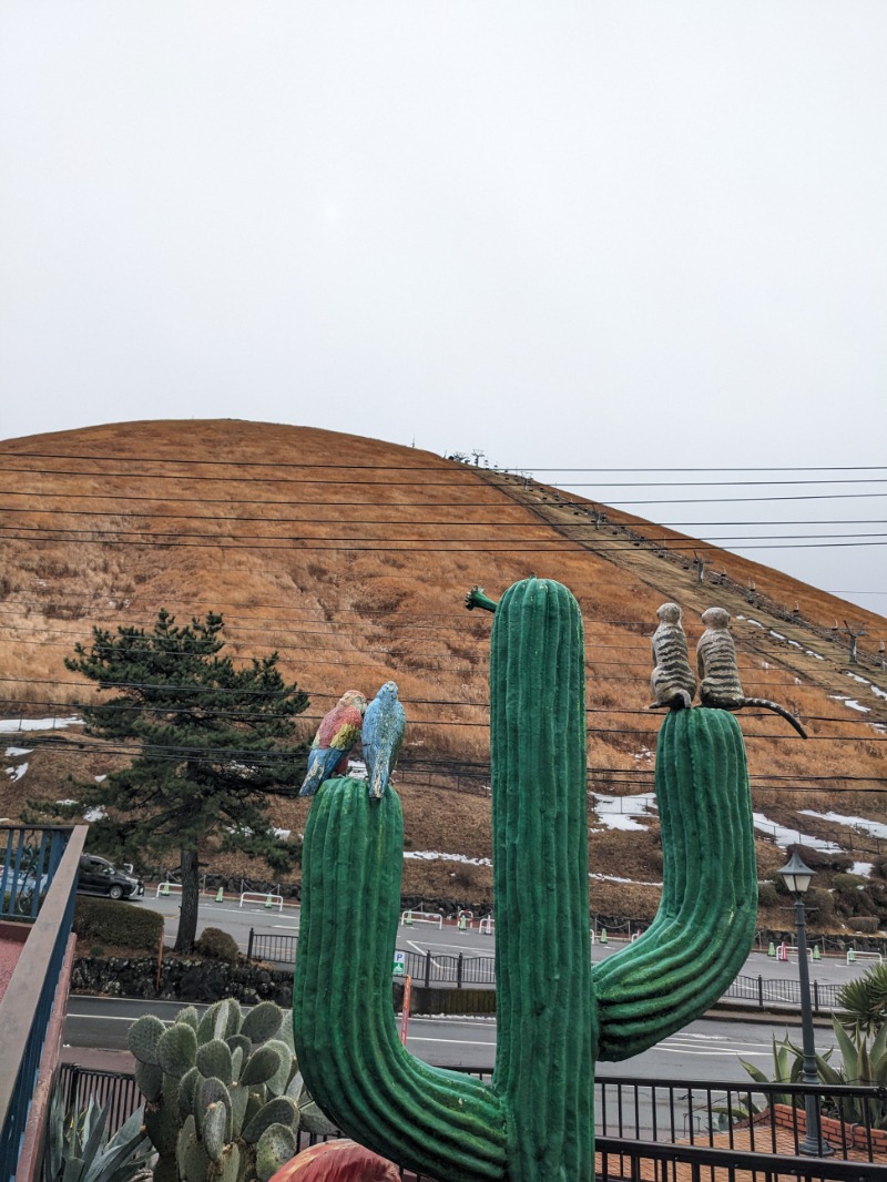 なっつるこさんのリブマックスリゾート伊東川奈のサ活写真