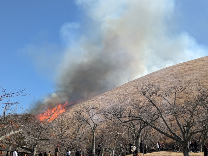 なっつるこさんのリブマックスリゾート伊東川奈のサ活写真