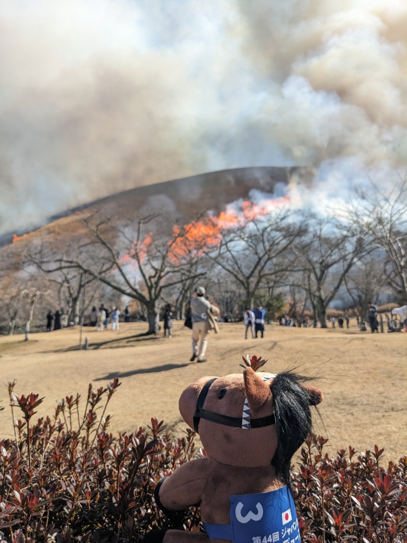 なっつるこさんのリブマックスリゾート伊東川奈のサ活写真