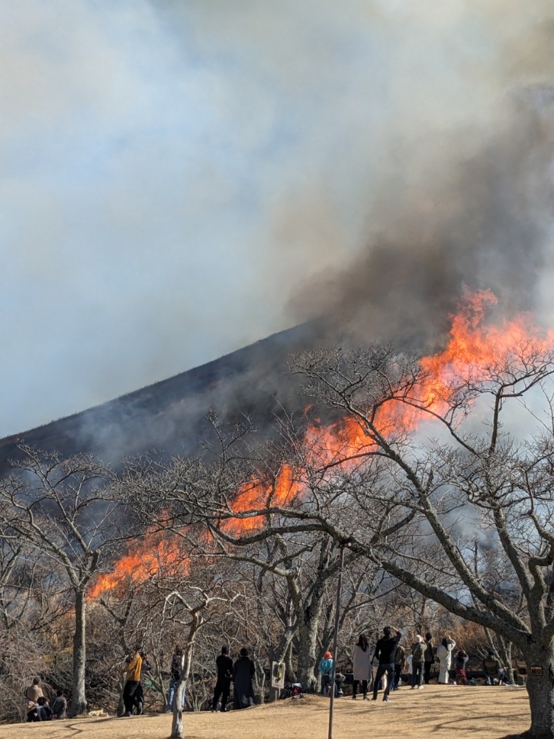 なっつるこさんのリブマックスリゾート伊東川奈のサ活写真