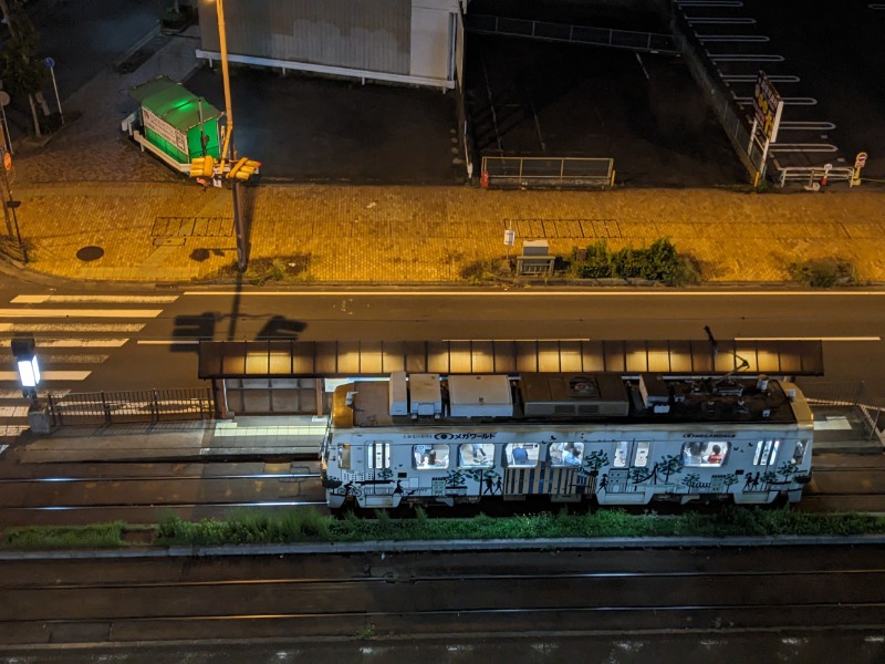 なっつるこさんの天然温泉 つつじの湯 ドーミーインEXPRESS豊橋のサ活写真