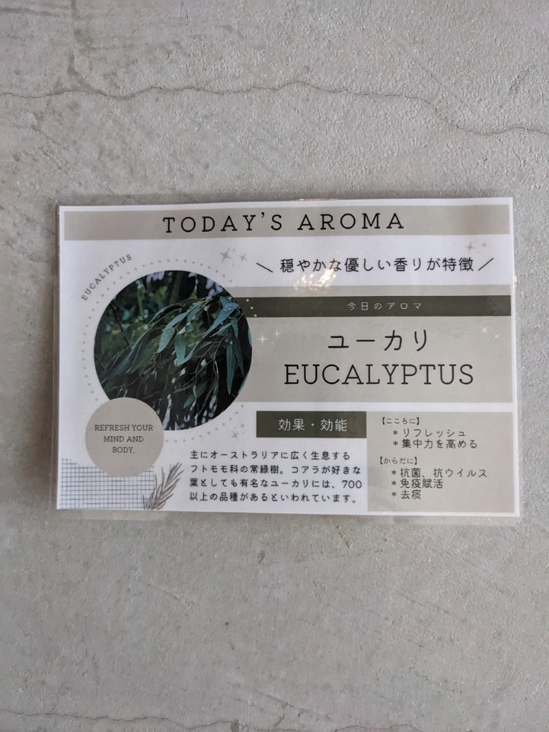 なっつるこさんの水の家のサ活写真