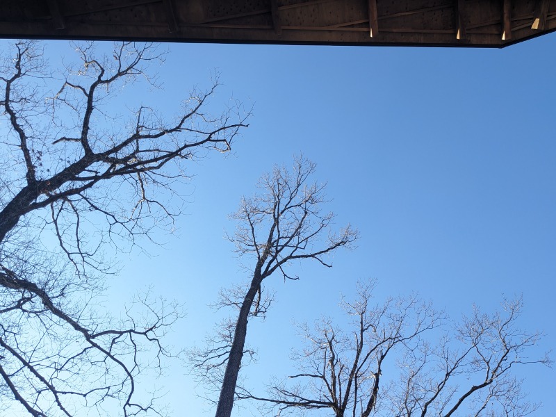 なっつるこさんの水の家のサ活写真