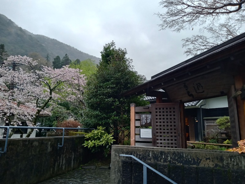 Ｑ次郎さんの天山湯治郷 ひがな湯治 天山のサ活写真