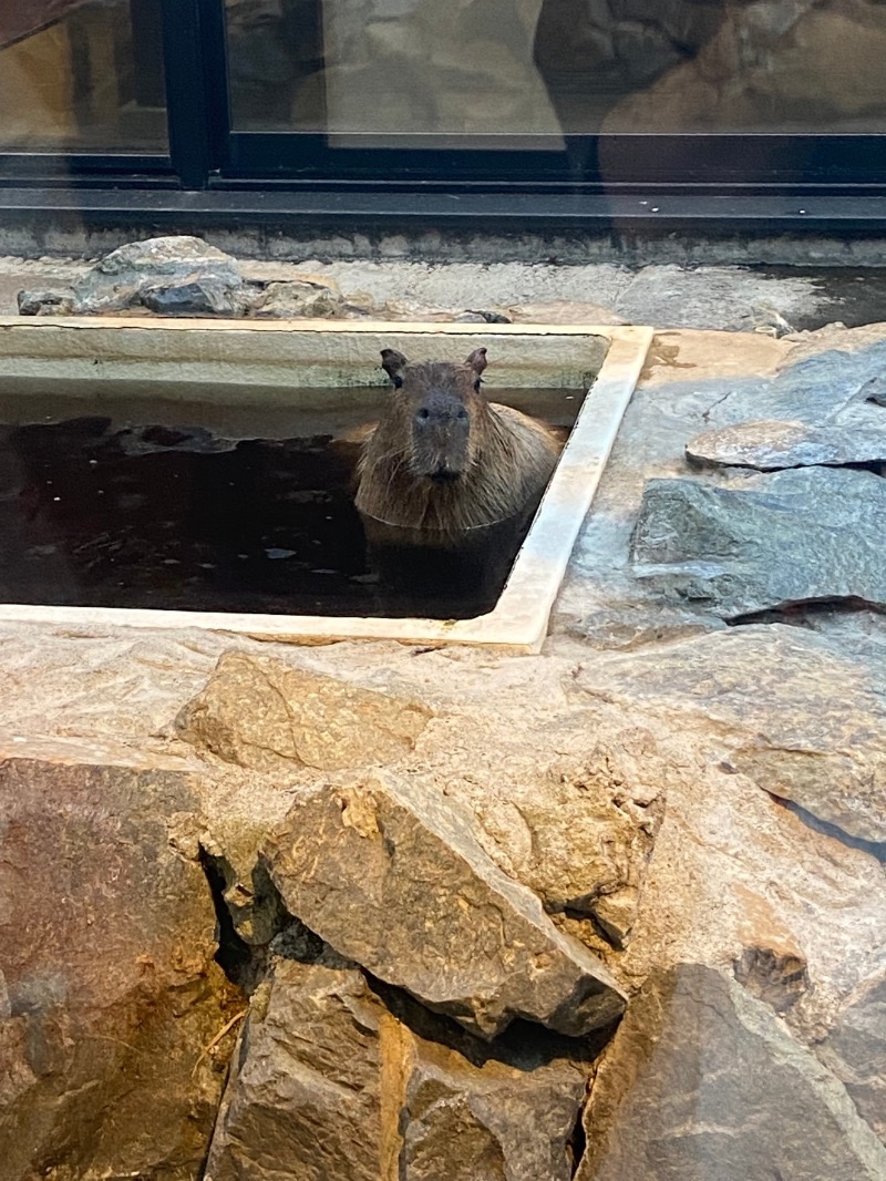 ちひろさんの石狩天然温泉 番屋の湯のサ活写真