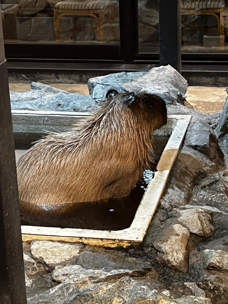 ちひろさんの石狩天然温泉 番屋の湯のサ活写真