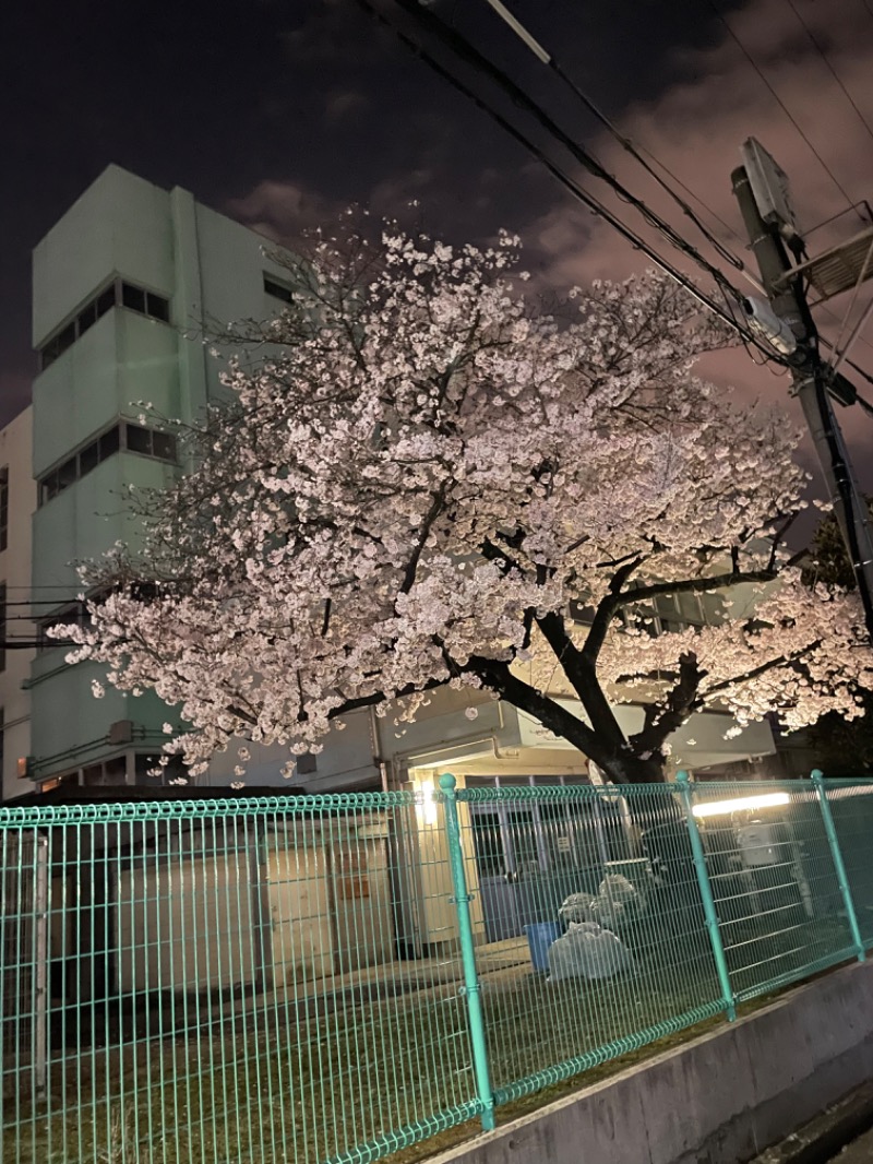 よっチャンネルさんの日の本湯のサ活写真