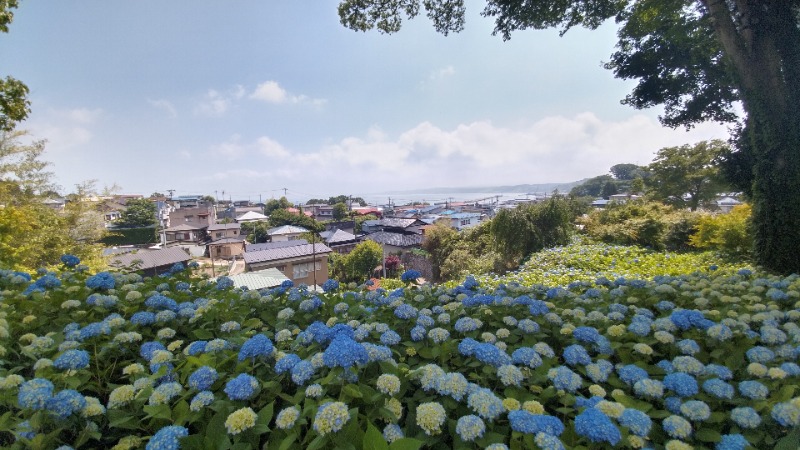 tori-sanさんのなまはげのゆっこ 温浴ランドおがのサ活写真