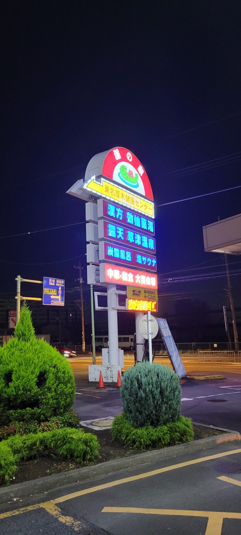 しゃるーるさんの湯の泉 東名厚木健康センターのサ活写真