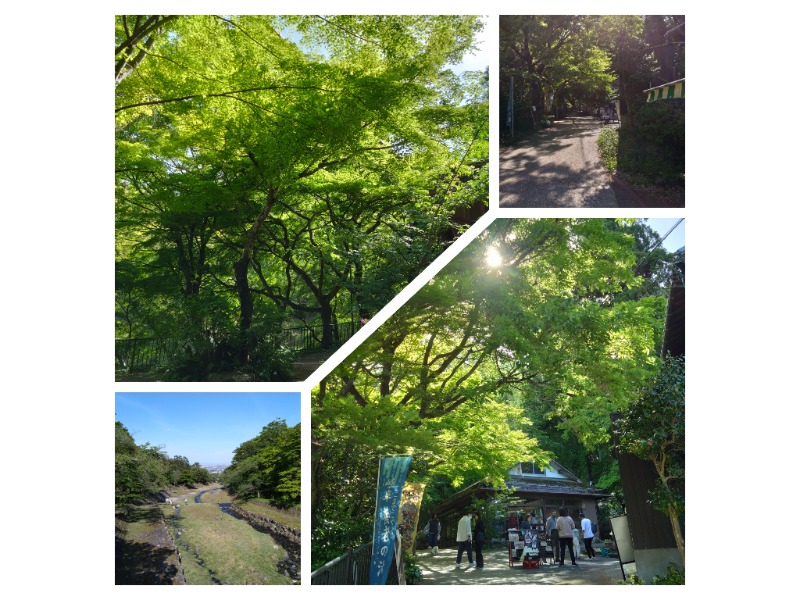 ゆかりんごさんの養老温泉 ゆせんの里のサ活写真