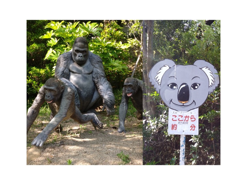 ゆかりんごさんの名東温泉 花しょうぶのサ活写真