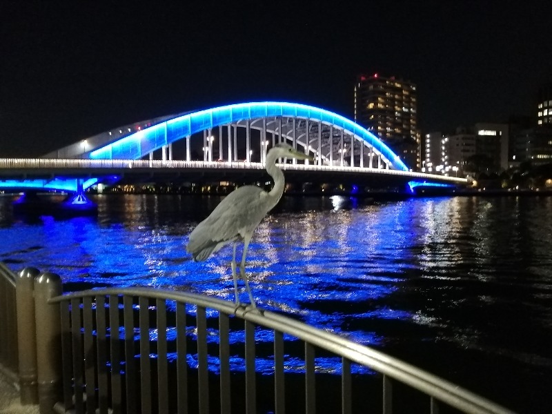 サポさんのととけん日本橋浜町のサ活写真