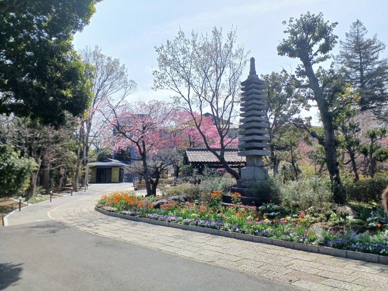 ataruさんのよみうりランド眺望温泉 花景の湯のサ活写真