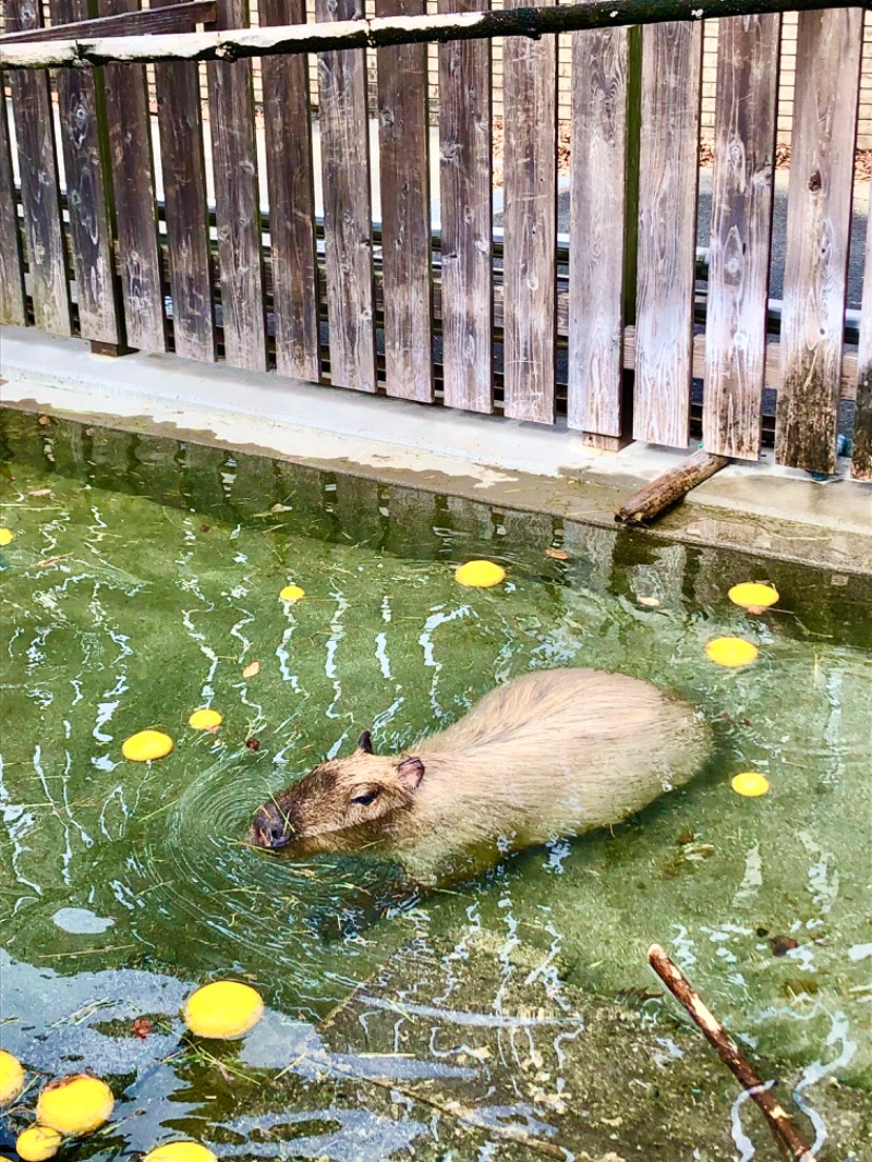 ゆっきさんのゆのゆ TOYOHASHIのサ活写真