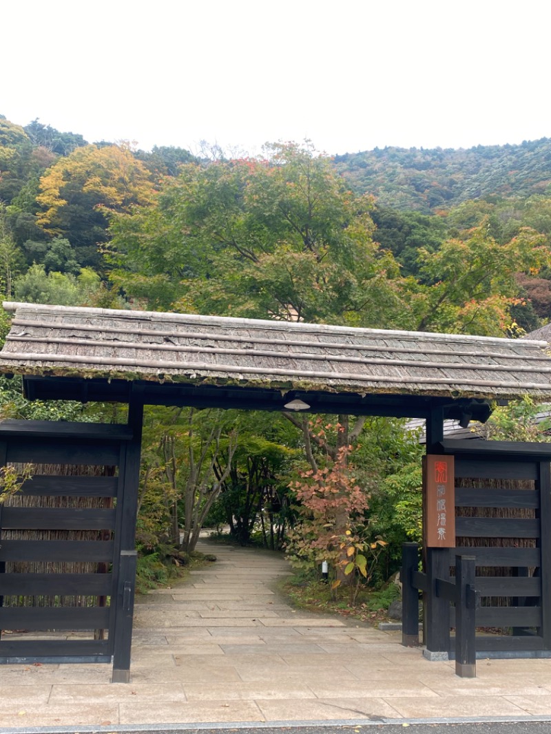 みみさんの箱根湯寮のサ活写真