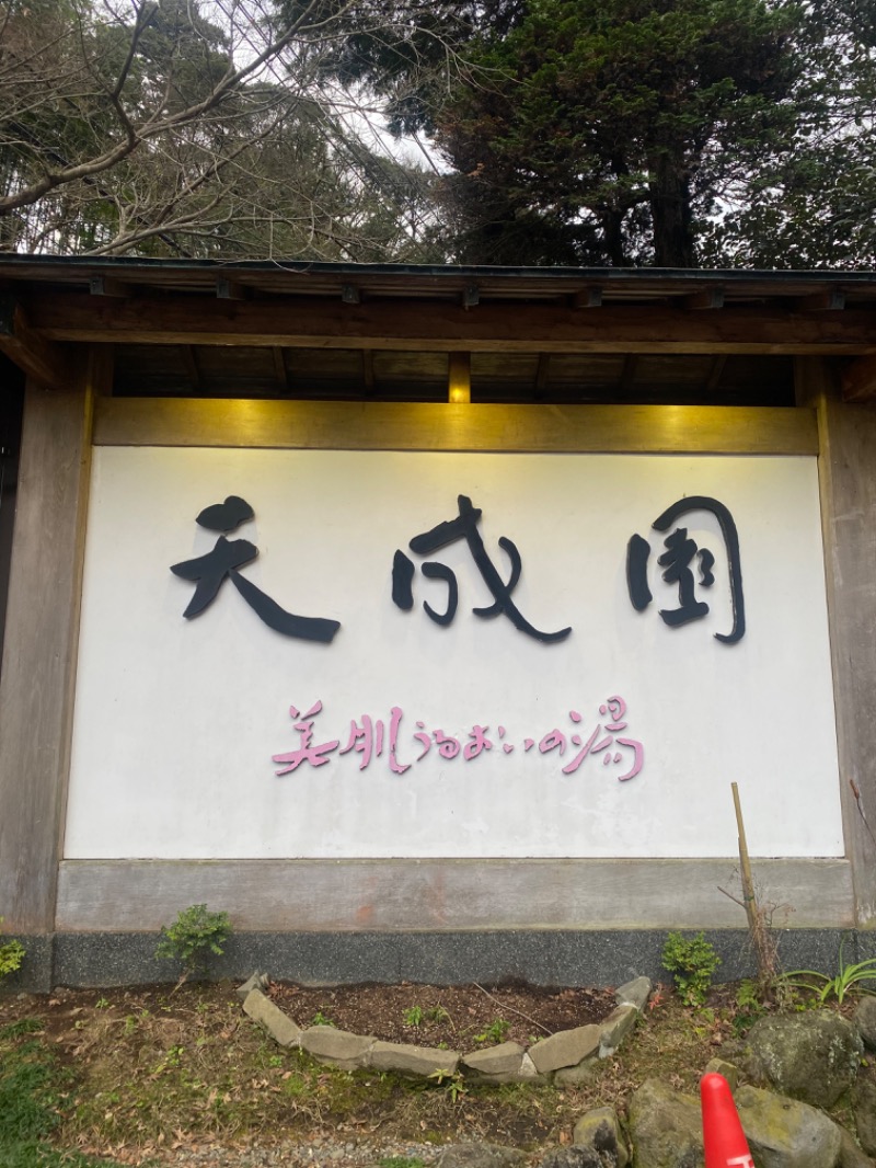 みみさんの箱根湯本温泉 天成園のサ活写真